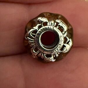 Pandora Silver and Brown Disney Charm